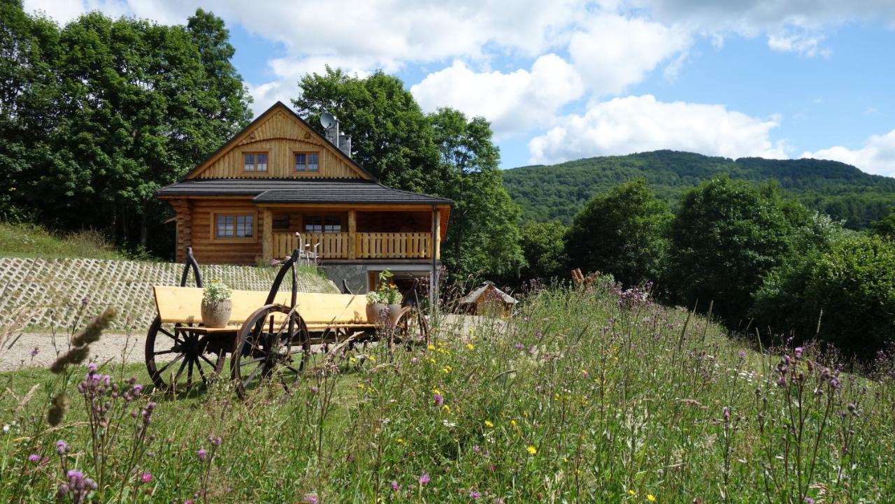 Hotel Bieszczadzkie Marzenie Wetlina Exteriér fotografie