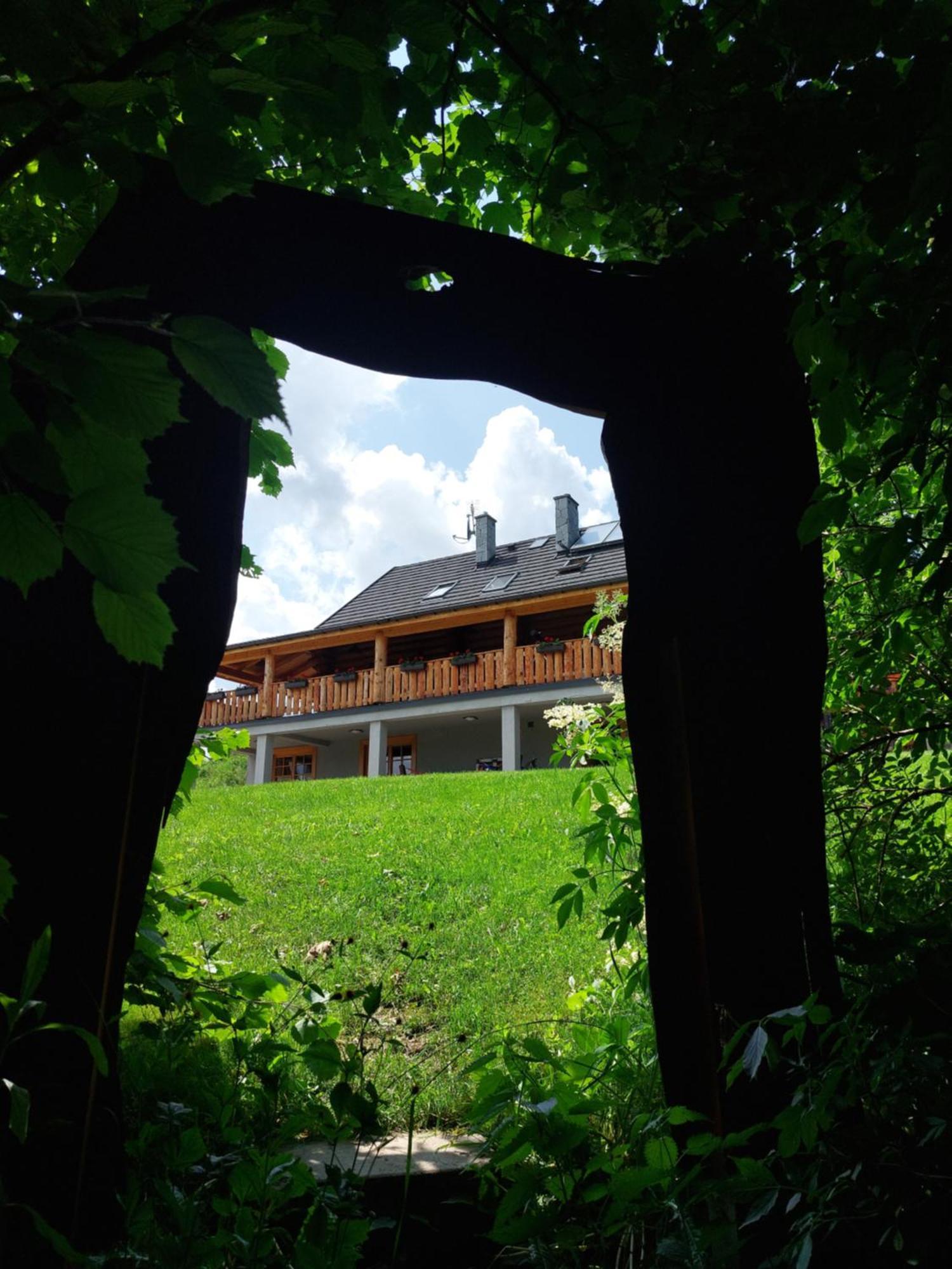 Hotel Bieszczadzkie Marzenie Wetlina Exteriér fotografie